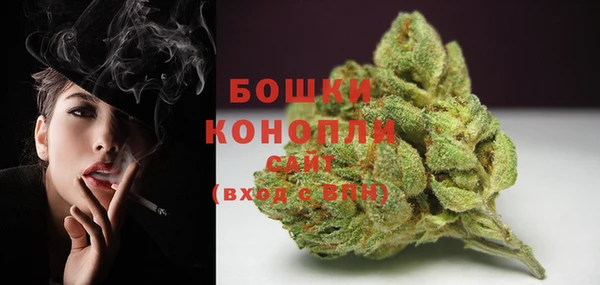 PSILOCYBIN Лихославль