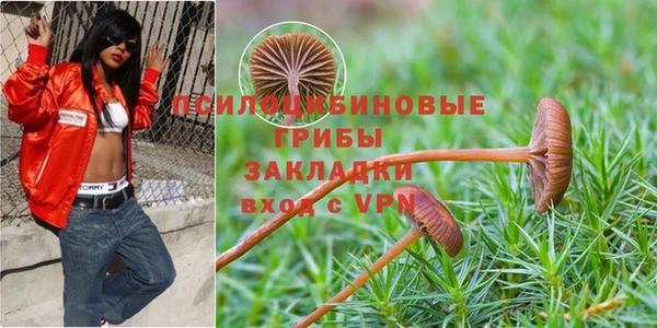 спиды Балахна